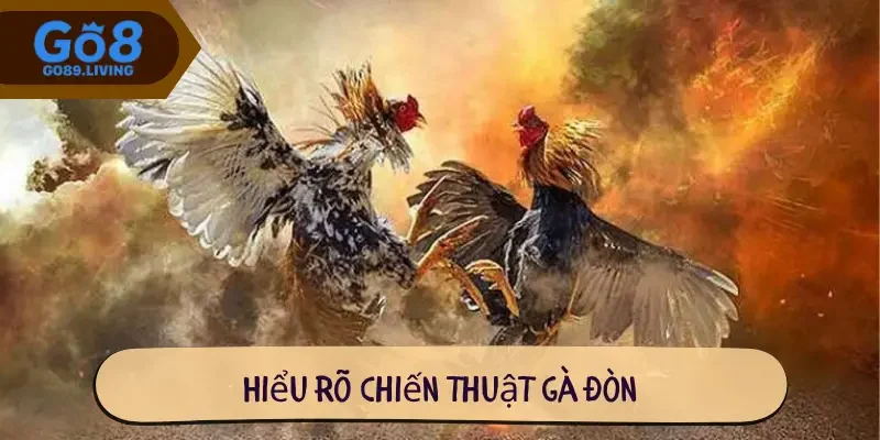 Hiểu rõ chiến thuật gà đòn