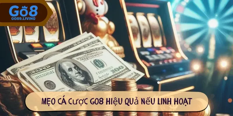 Mẹo cá cược Go8 hiệu quả nếu linh hoạt